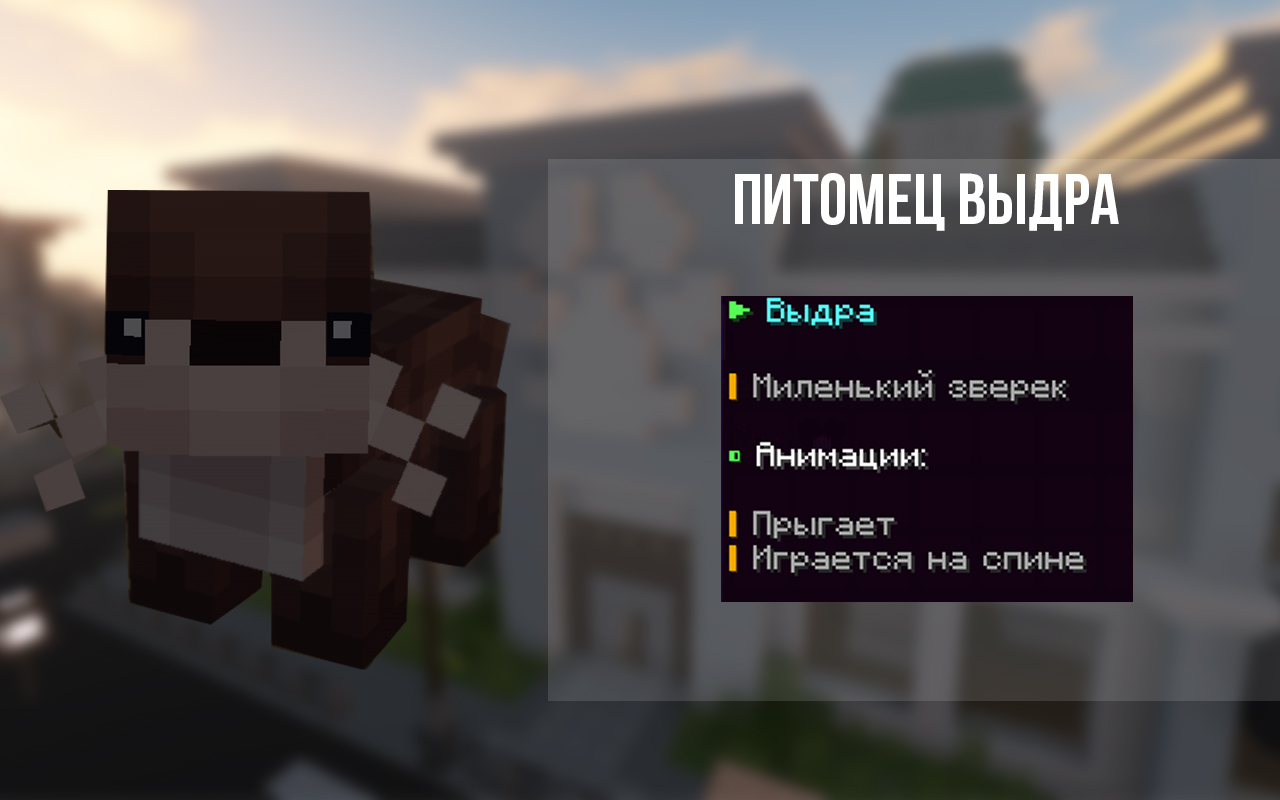 Сайт craft